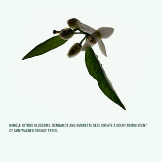Deodorant - Neroli 75gr | Corpus Naturals