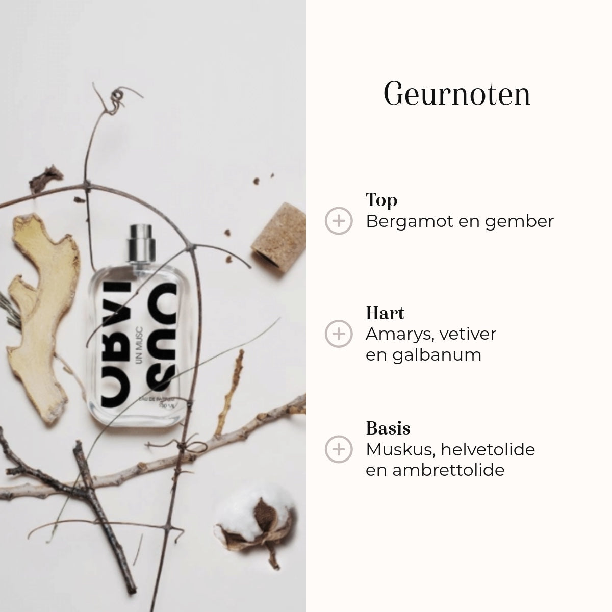 Eau de Parfum - Un Musc geurnoten