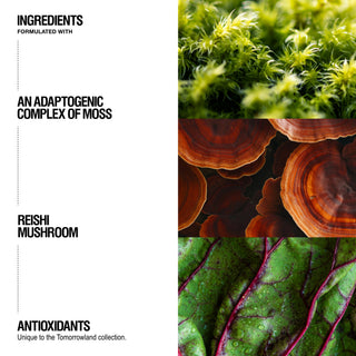 Grown Alchemist Tomorrowland ingredients