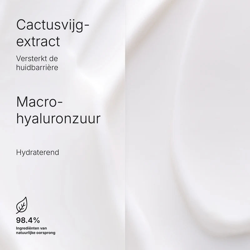 Hydramemory Rich Sorbet Cream ingredientes