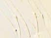Image Skincare AGELESS+ Retinol - Repair Crème 0.3% Retinol Complex 50g textura