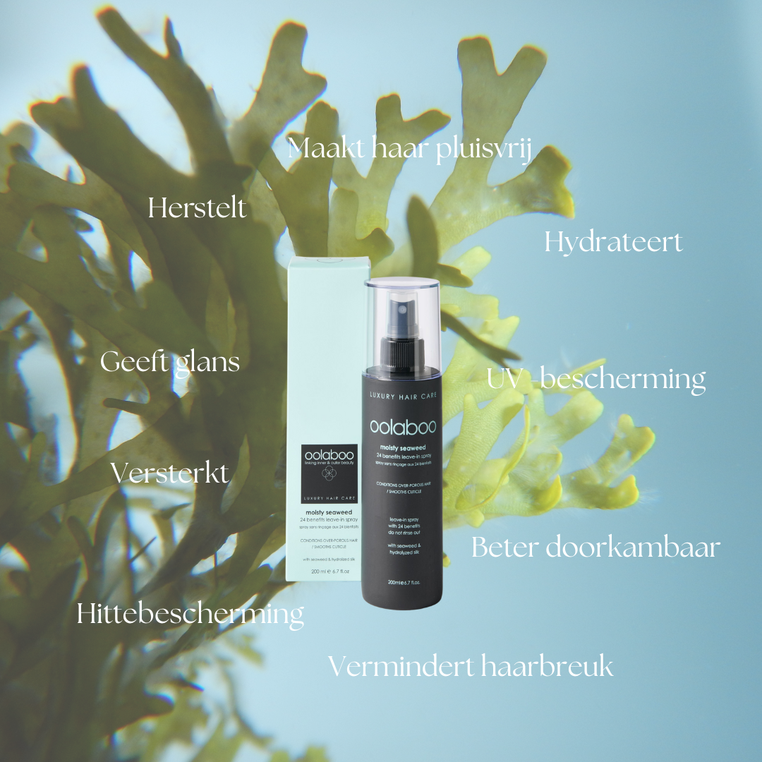 Oolaboo Moisty Seaweed 24 Benefits Leave-In Spray beneficios entre algas
