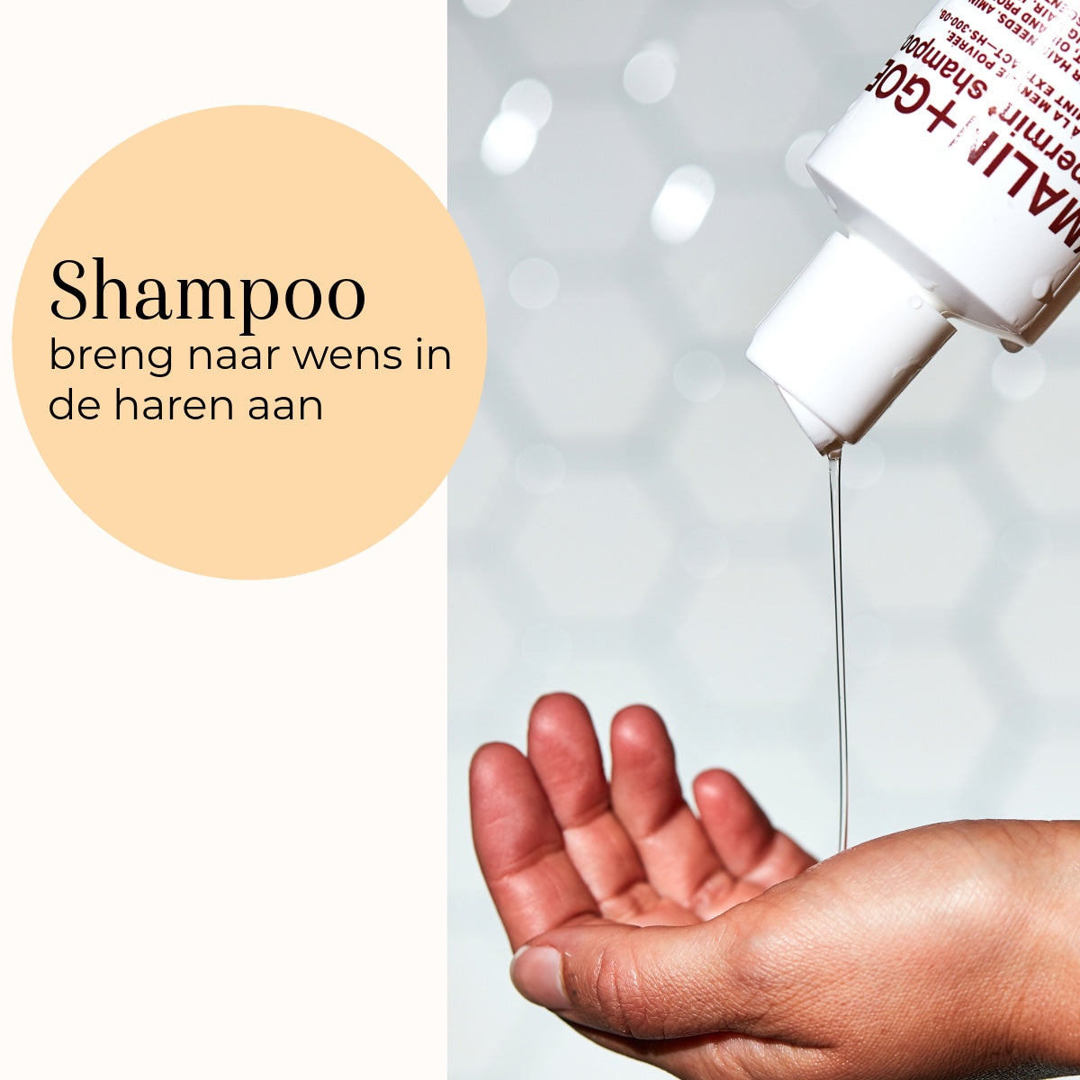 Peppermint Shampoo uso