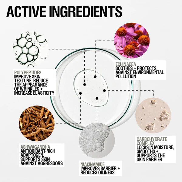 Grown Alchemist Skin Renewal Serum ingredients