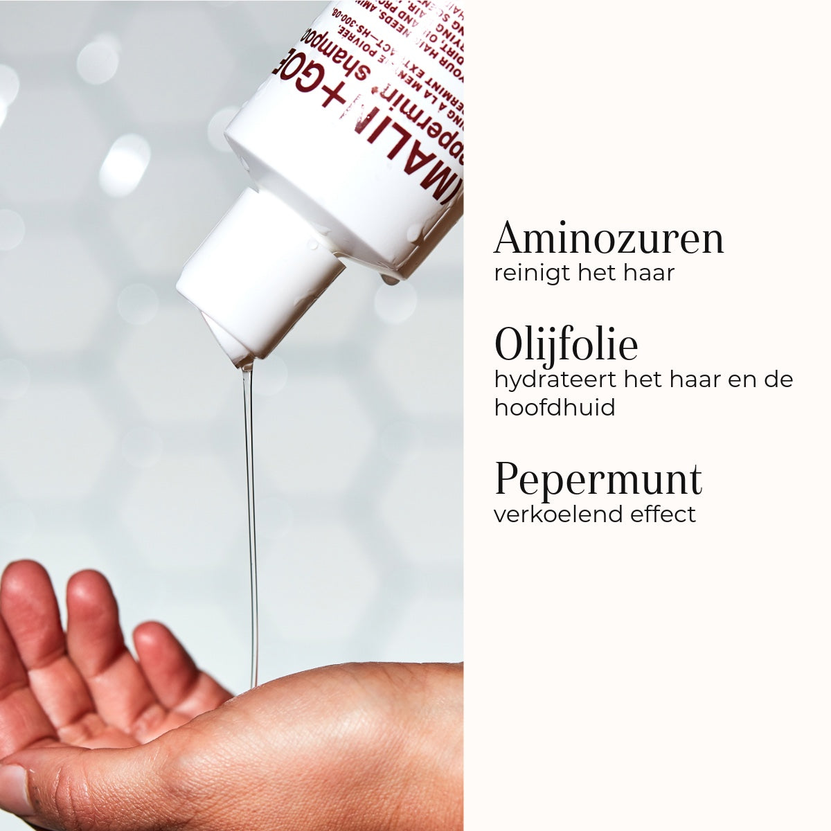 Peppermint Shampoo ingredientes