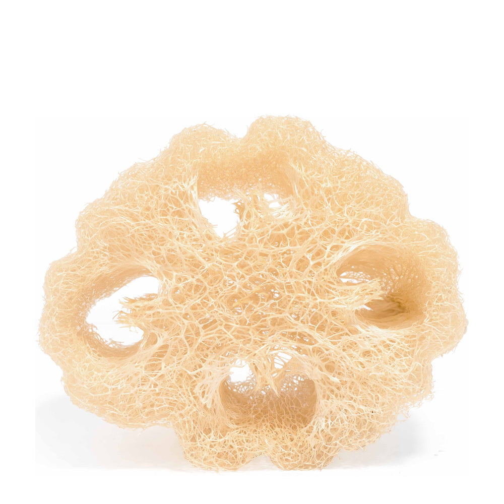 Food for Skin Esponja vegetal de lufa