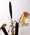 BDK Parfums Eau de Parfum - Oud Abramad muestra ambiente
