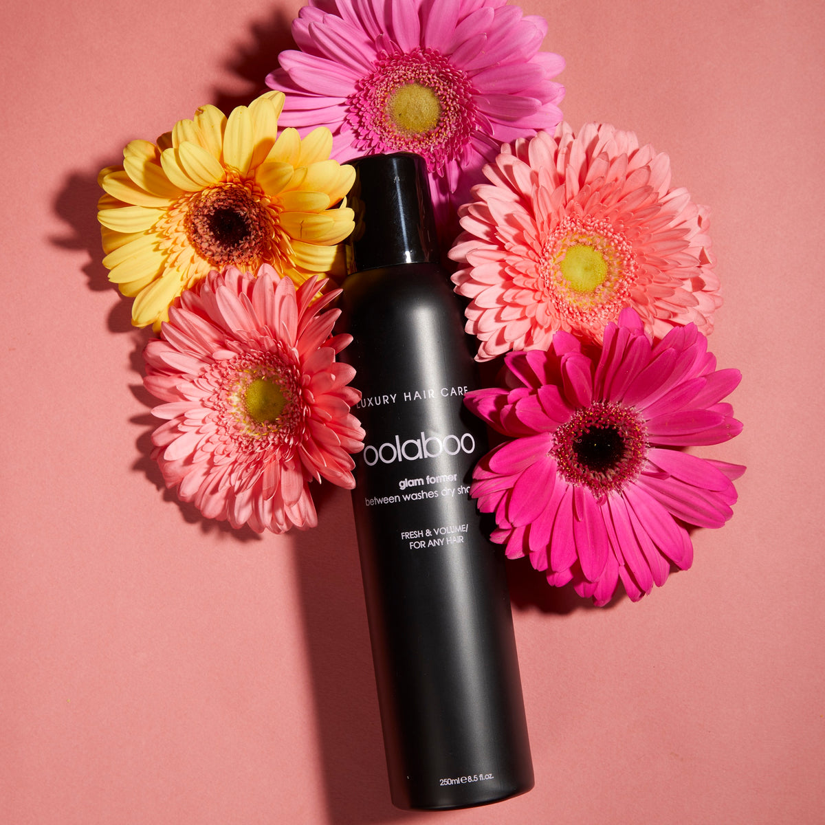 Oolaboo Glam Former Dry Shampoo entre gerberas rosas