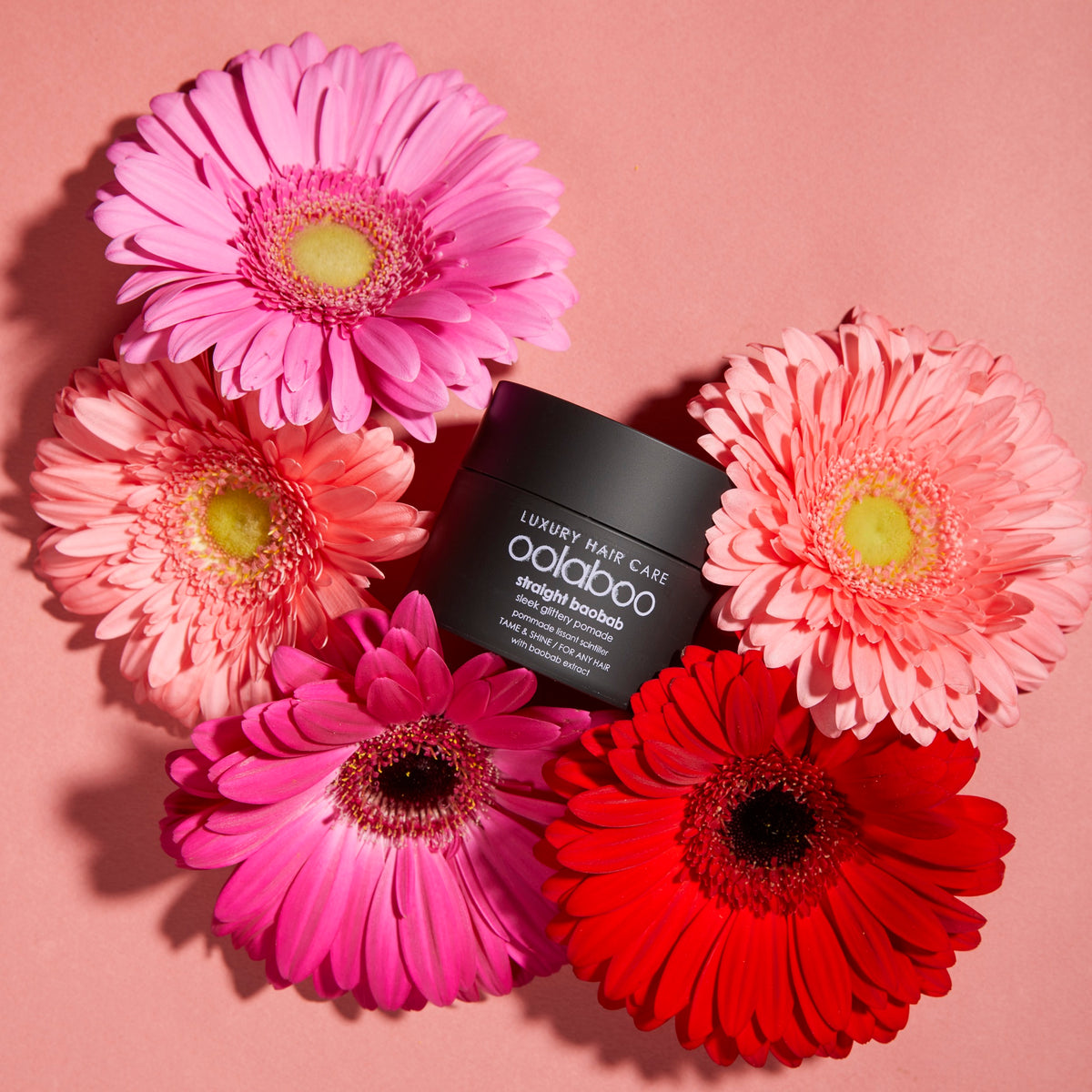 Oolaboo Straight Baobab Pomade entre gerberas rosas