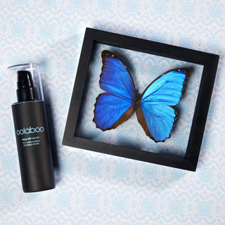 Oolaboo Wipe Off Nectar junto a una mariposa enmarcada