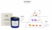 BDK Parfums Vela perfumada - Taxi Minuit notas olfativas